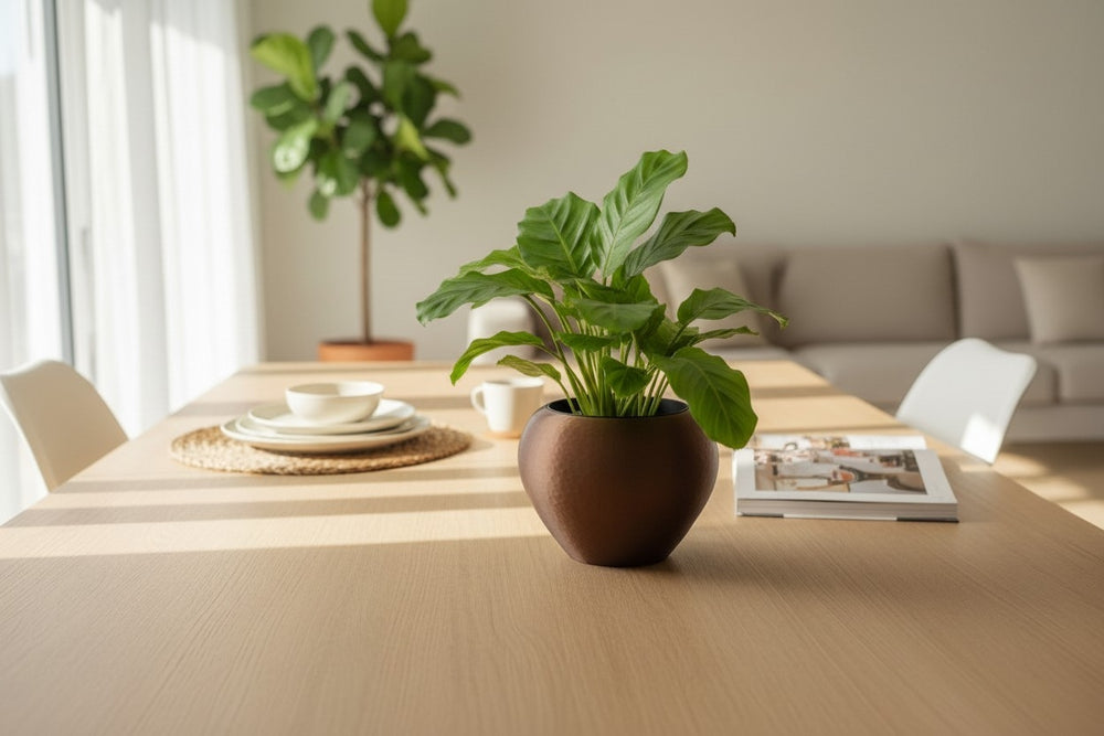 Droppe – Smarter Self-Watering Pflanztopf in Kupfer-Optik