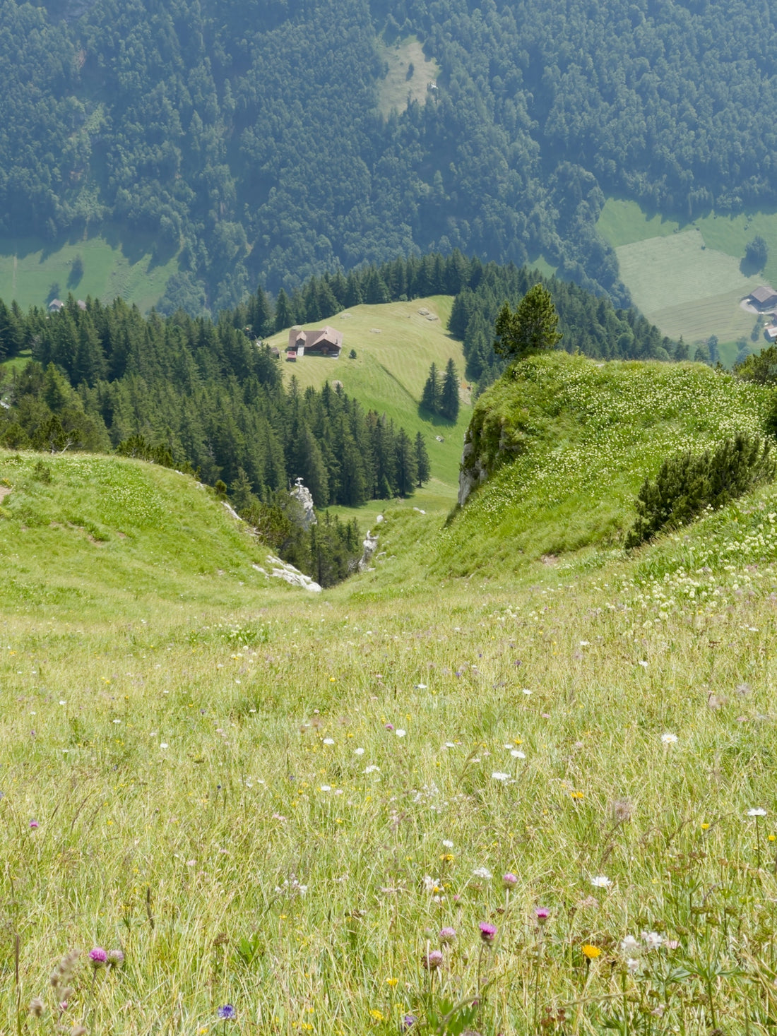 a grassy hill with a valley in the background