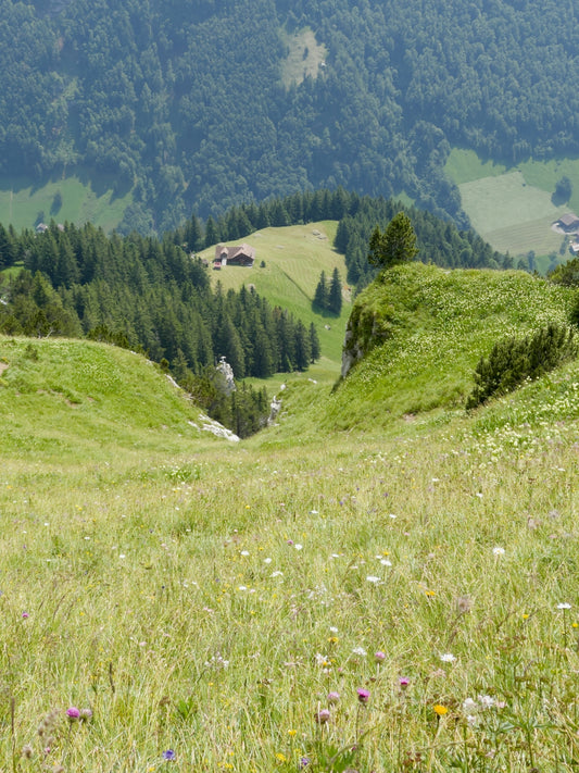 a grassy hill with a valley in the background