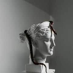 Die dritte Dimension der Kunst - Print Home