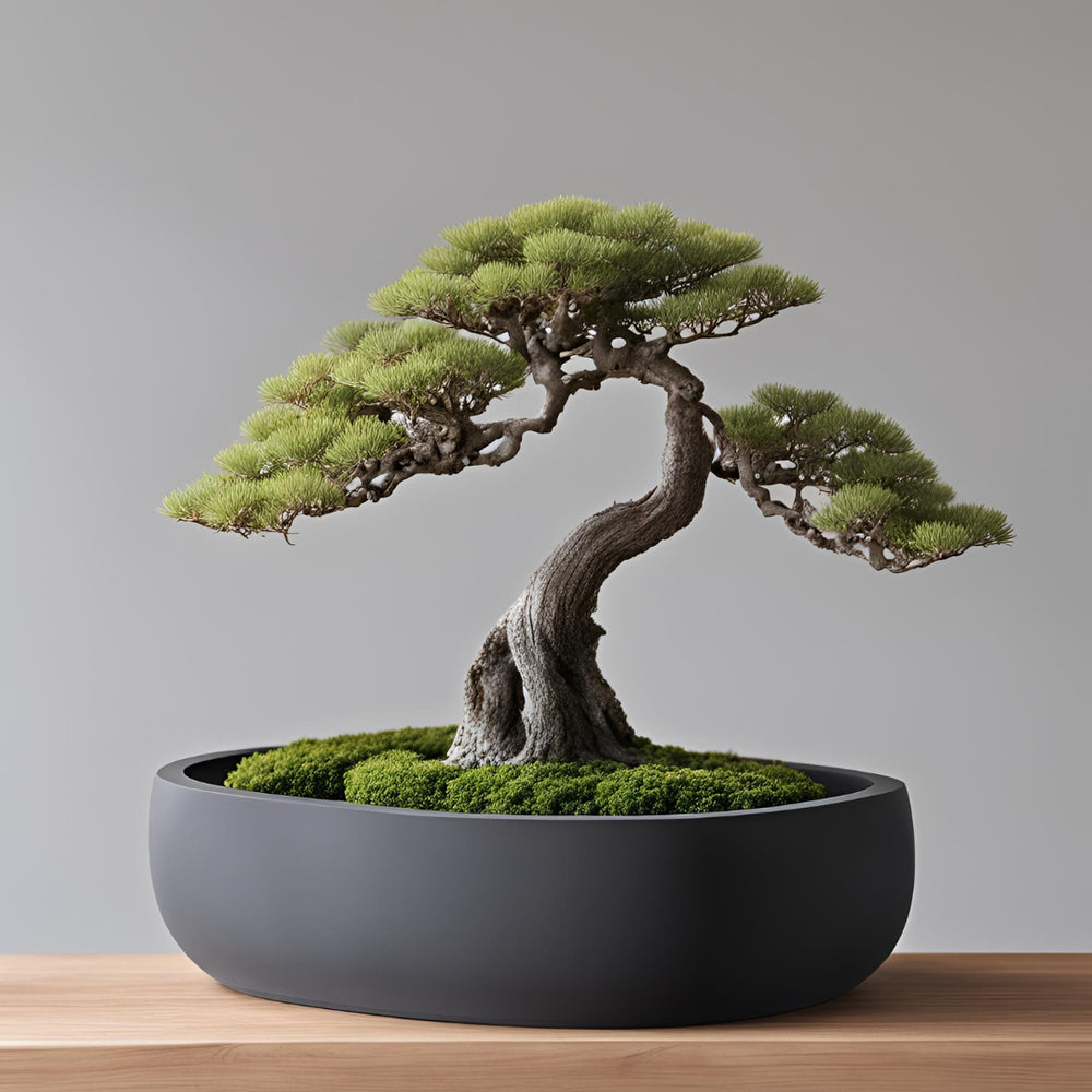 BONSAI Skål