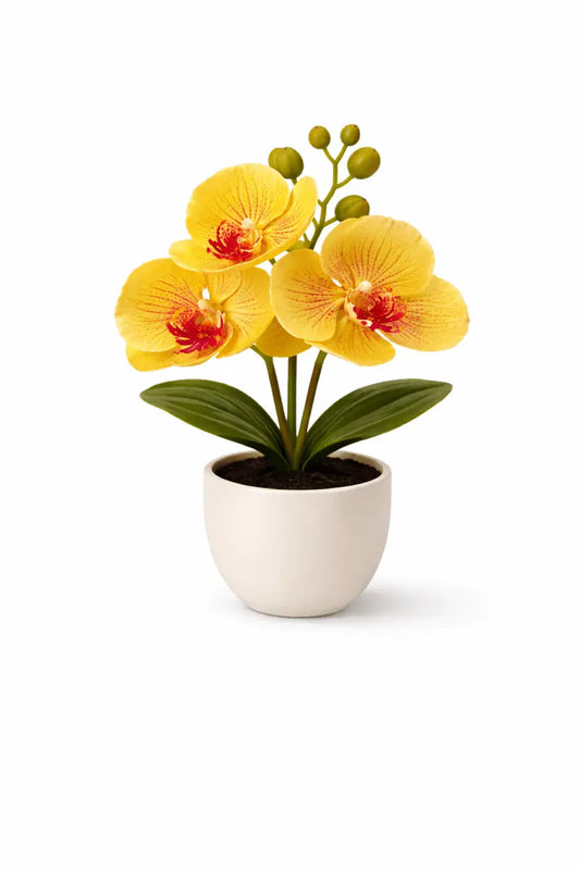 Künstliche Orchidee im Topf – Dekorative Blütenpflanze | Verschiedene Farben - Print Home