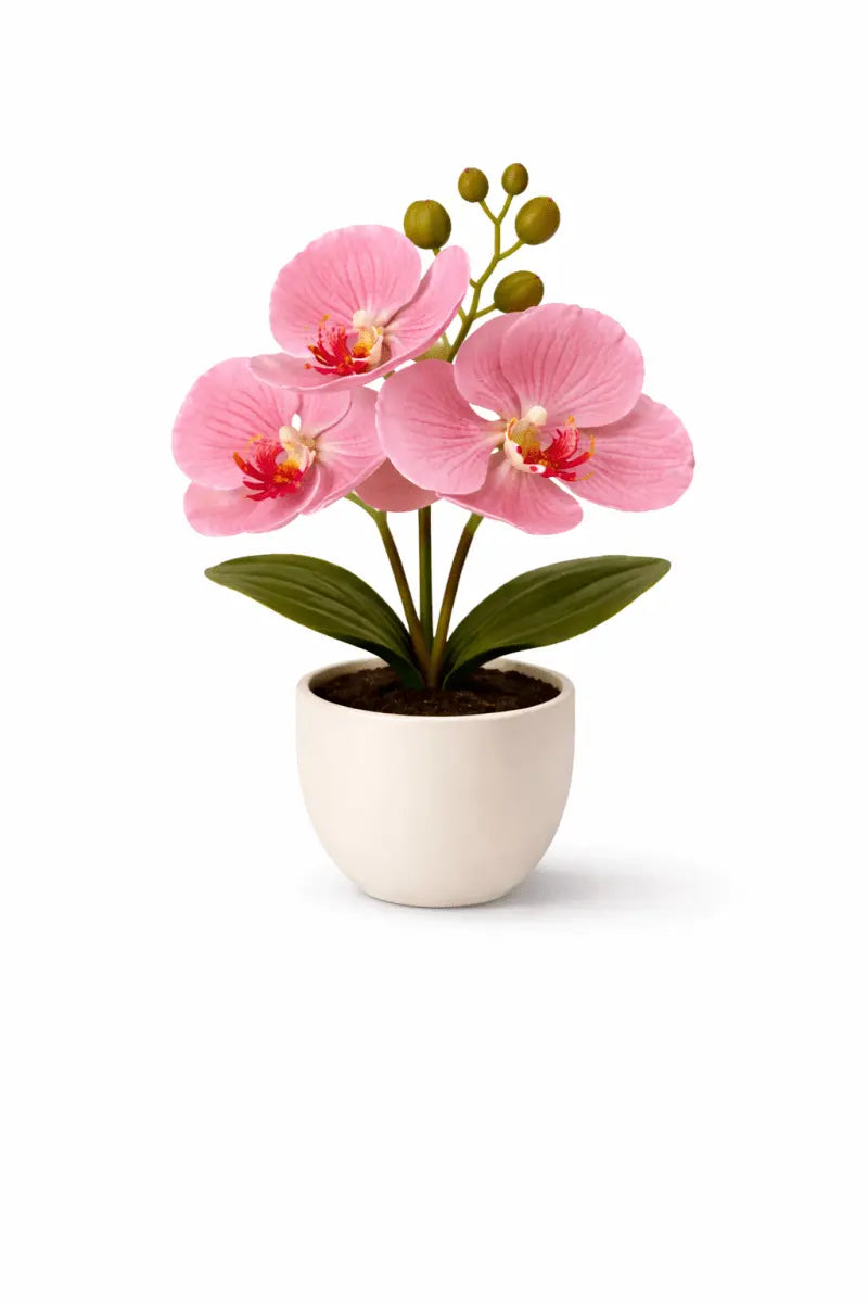 Künstliche Orchidee im Topf – Dekorative Blütenpflanze | Verschiedene Farben - Print Home