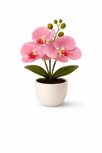 Künstliche Orchidee im Topf – Dekorative Blütenpflanze | Verschiedene Farben - Print Home