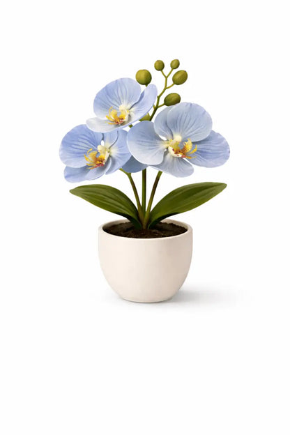 Künstliche Orchidee im Topf – Dekorative Blütenpflanze | Verschiedene Farben - Print Home