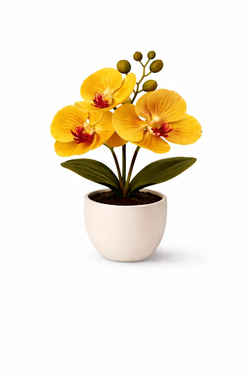 Künstliche Orchidee im Topf – Dekorative Blütenpflanze | Verschiedene Farben - Print Home