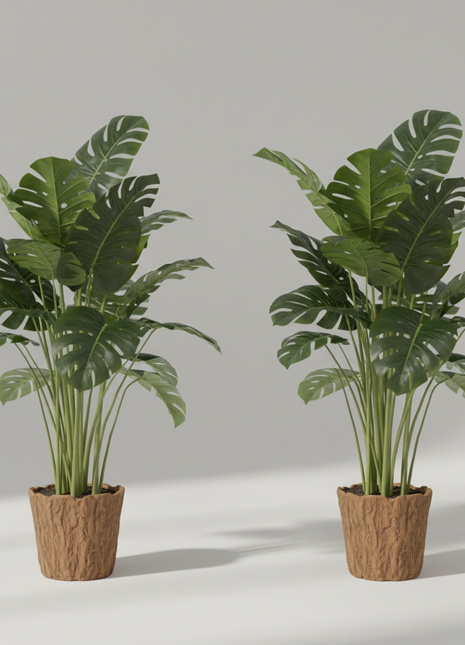 Realistische Monstera-Pflanzen