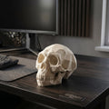 UR-MÄNNISKA archaische Figur aus PLA, Ansicht 6
