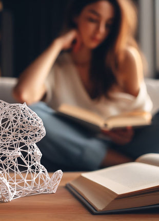 Kunstvolle Hamsterdrahtskulptur - Print HomeKunstvolle Hamsterdrahtskulptur3DOffice3DOfficeKunstvolle HamsterdrahtskulpturShopify Collective217 .01