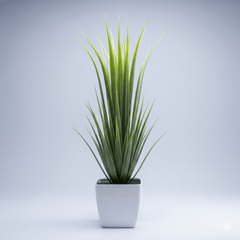 Mini - Pflanzen Kleine Grün Oase - Print HomeMini - Pflanzen Kleine Grün OasePrint HomePflanzenMini - Pflanzen Kleine Grün Oase