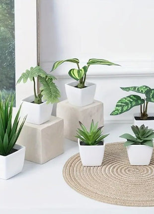 Mini - Pflanzen Kleine Grün Oase - Print HomeMini - Pflanzen Kleine Grün OasePrint HomePflanzenMini - Pflanzen Kleine Grün Oase