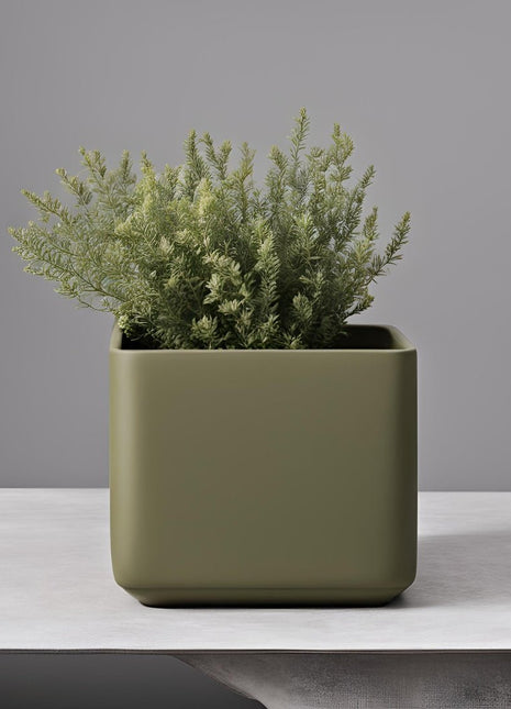 „Plant Cube“ – Design - Blumentopf - Print Home„Plant Cube“ – Design - Blumentopf356797858Print HomeVase„Plant Cube“ – Design - Blumentopf