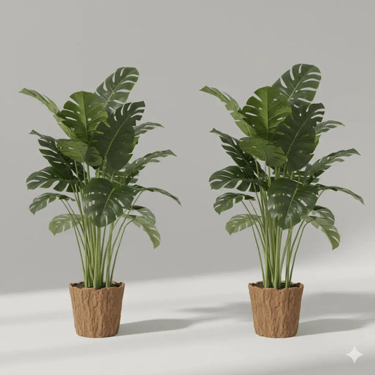 Realistische Monstera-Pflanzen - Print Home