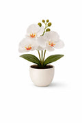 Künstliche Orchidee im Topf – Dekorative Blütenpflanze | Verschiedene Farben - Print Home