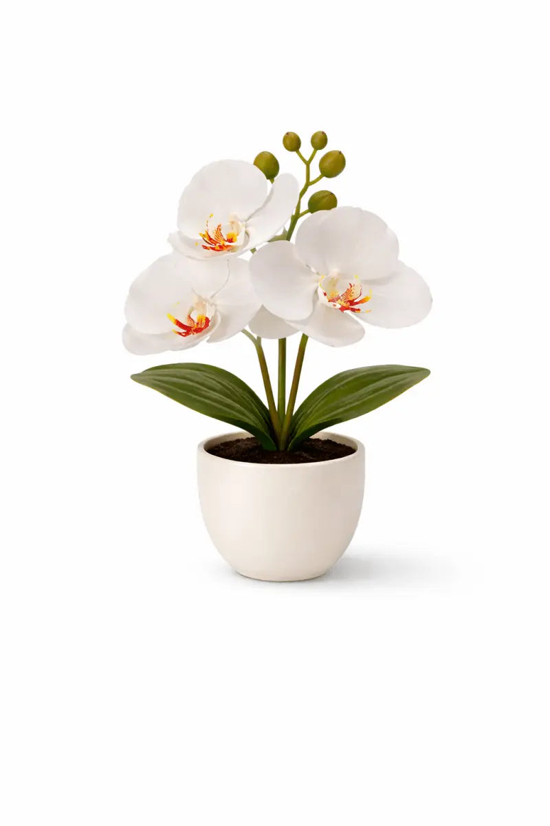Künstliche Orchidee im Topf – Dekorative Blütenpflanze | Verschiedene Farben - Print Home