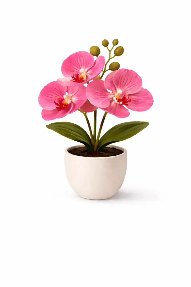 Künstliche Orchidee im Topf – Dekorative Blütenpflanze | Verschiedene Farben - Print Home