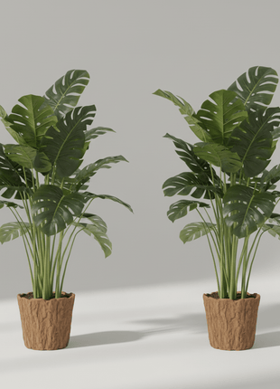 Realistische Monstera - Pflanzen - Print HomeRealistische Monstera - PflanzenPrint HomeNaturRealistische Monstera - PflanzenPflanzen