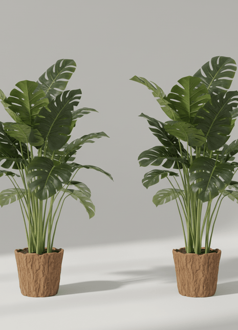 Realistische Monstera - Pflanzen - Print HomeRealistische Monstera - PflanzenPrint HomeNaturRealistische Monstera - PflanzenPflanzen