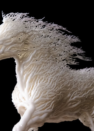 Snow Colt: Ein Weißes Pferd zum Verlieben - Print HomeSnow Colt: Ein Weißes Pferd zum Verlieben3DOffice3DOfficeSnow Colt: Ein Weißes Pferd zum VerliebenShopify Collective78754