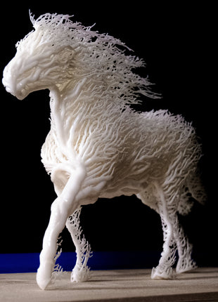 White Grown Horse - Print Home